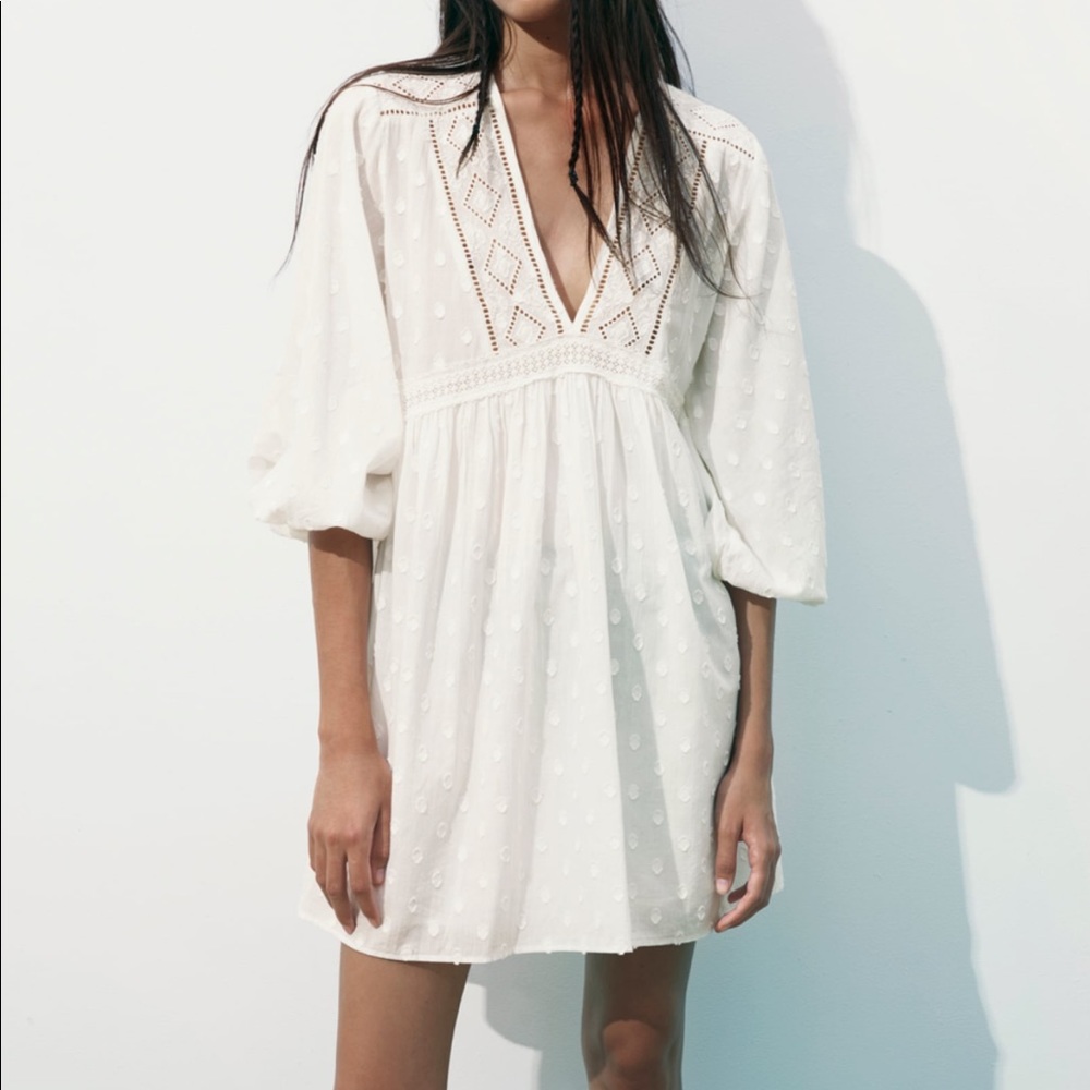 Zara Embroidered Mini Dress NWT